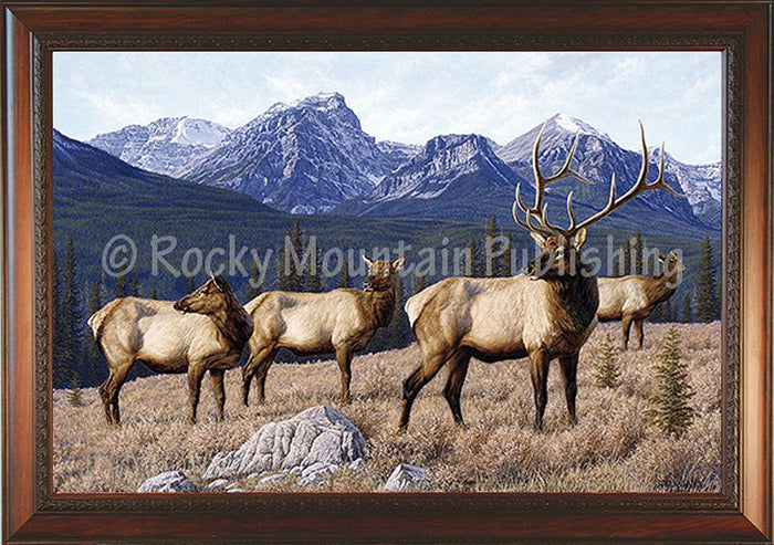 Back Tracking – Framed Giclee Canvas by Manuel Mansanarez