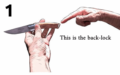 Le Thiers® Nature 11 cm Pocket Knife Desert Ironwood. Side view of the back-lock mechanism. Handcrafted details, 100% Made in France.