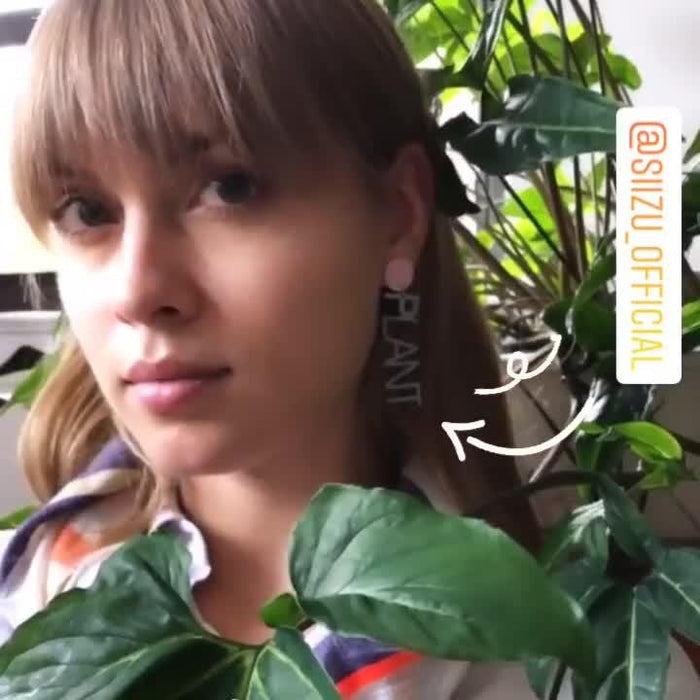 video**https://cdn.shopify.com/s/files/1/1193/3548/files/PlantLadyV.mp4?v=1589320836