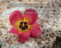 That Of A Mother Motivisional Poster Open Edition Print / 14 X 11 Only Art